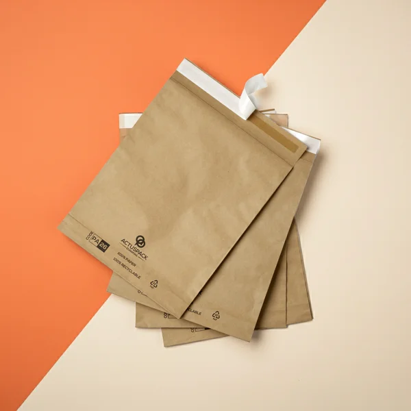 Custom Kraft Mailing Bags