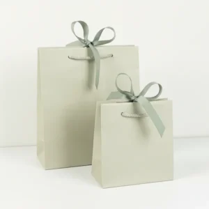 Paper Gift Bags
